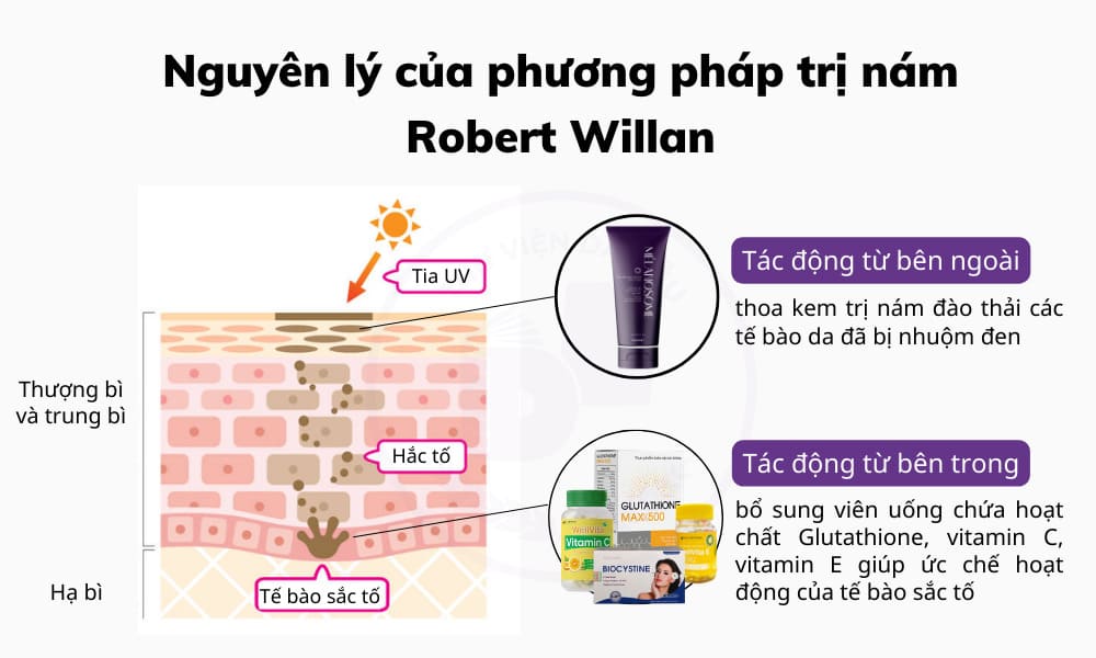 nguyen ly phuong phap tri nam robert willan 1