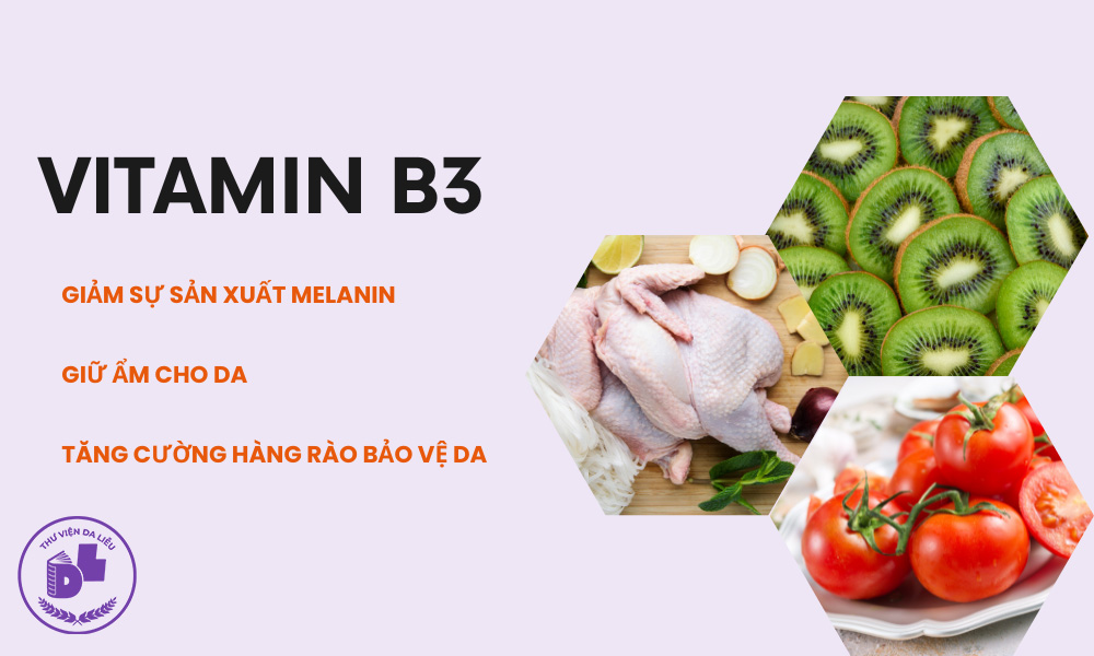 vitamin b3 tri nam